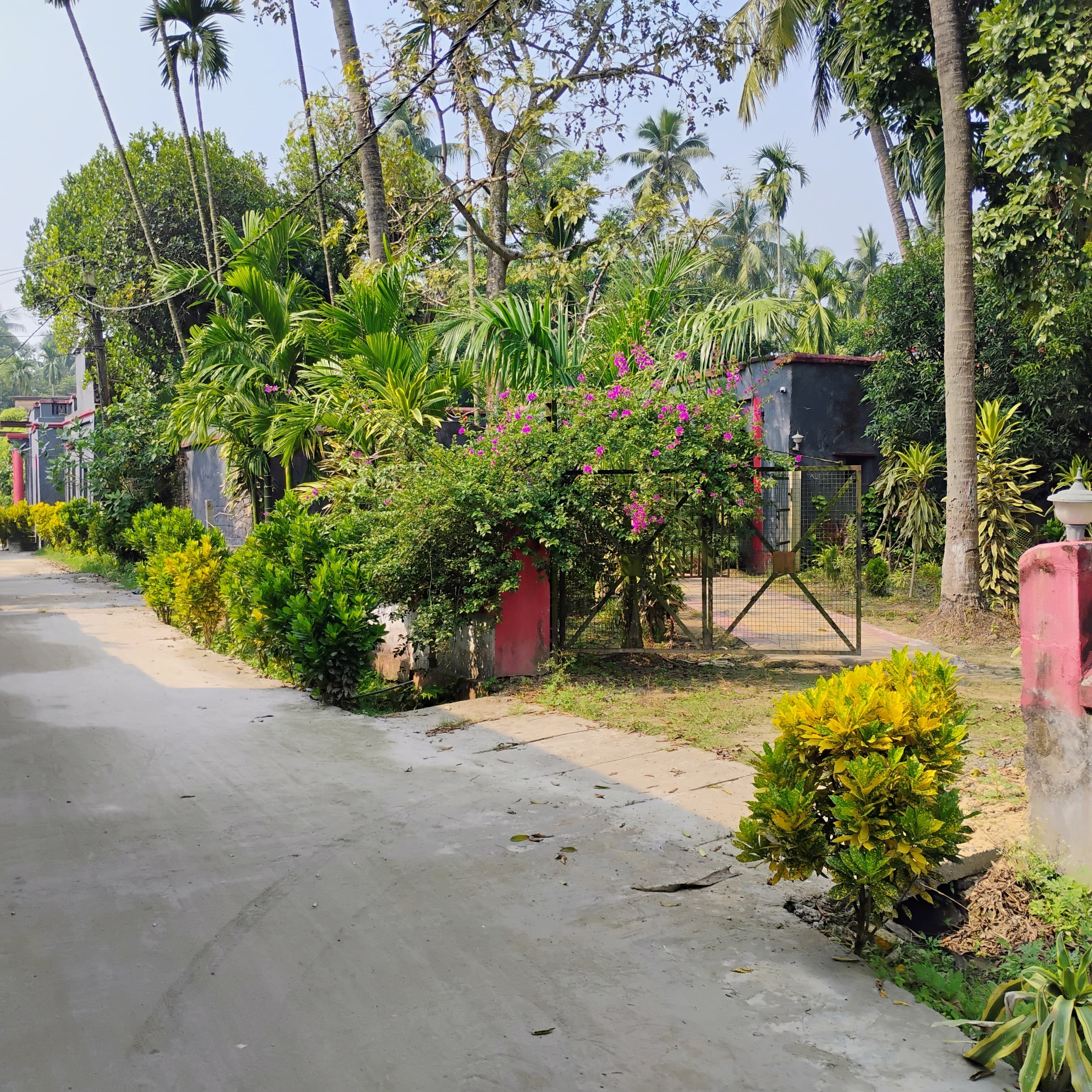 The Main Entrance of the Property
