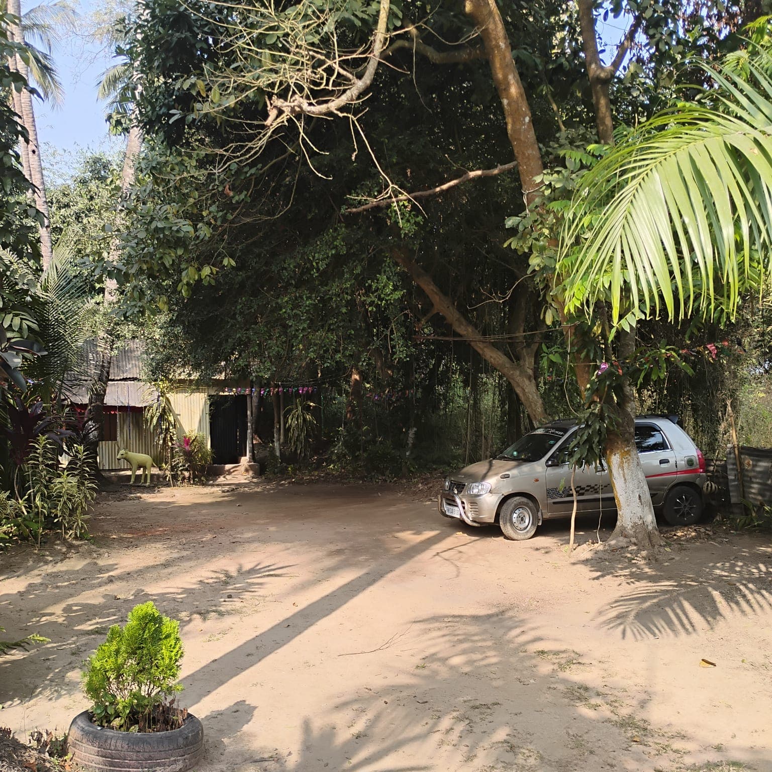 Another View of the Park Area