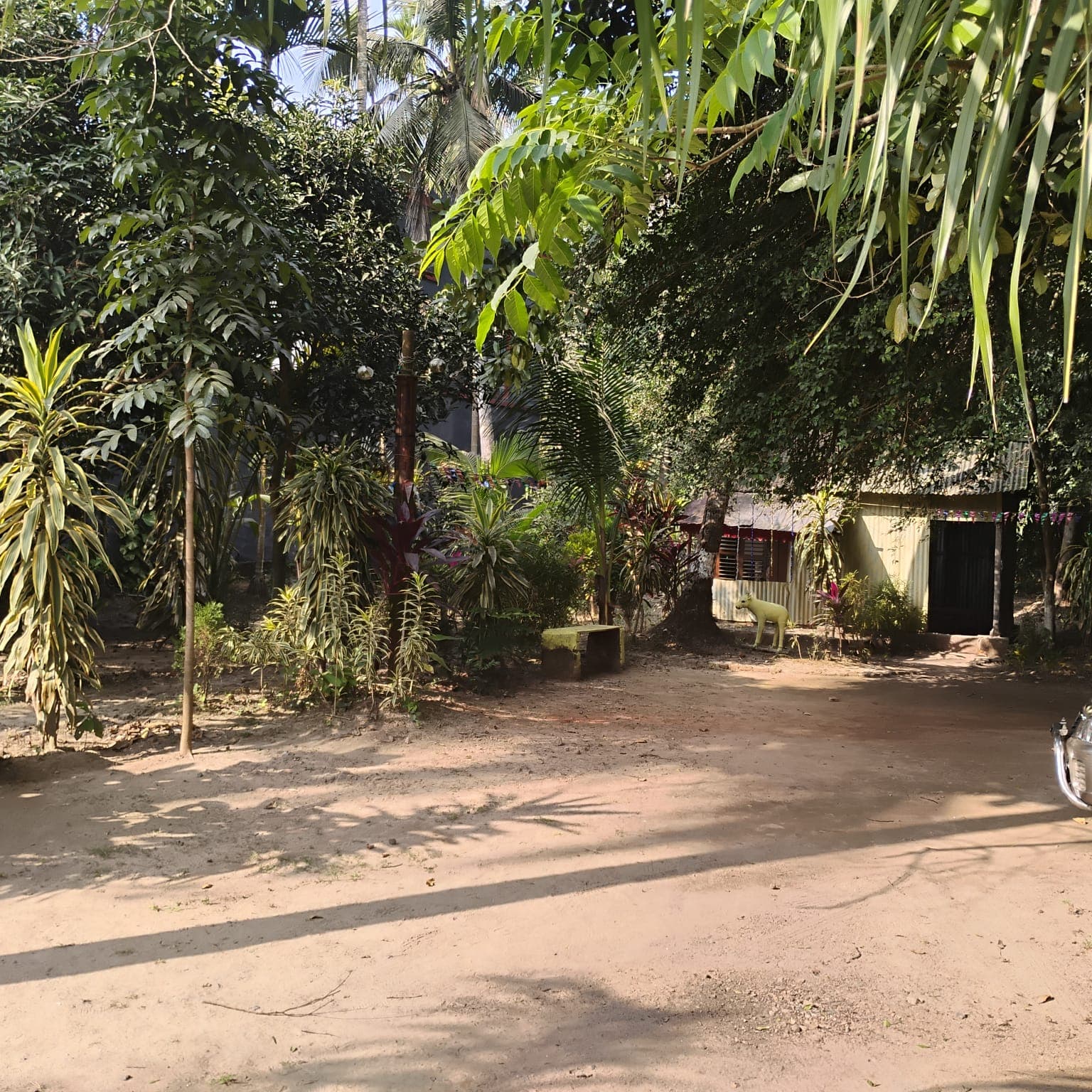 The View Of the Park with Hut for Cooking